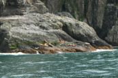 2011-07-13-169-Seward.JPG