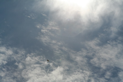 2011-07-13-180-Seward.JPG