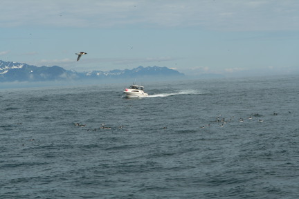 2011-07-13-181-Seward.JPG