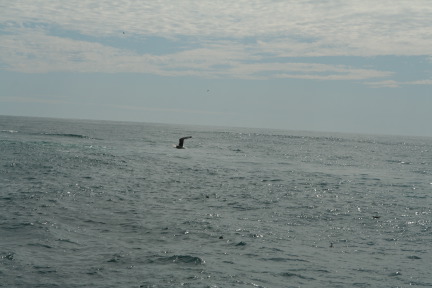 2011-07-13-187-Seward.JPG