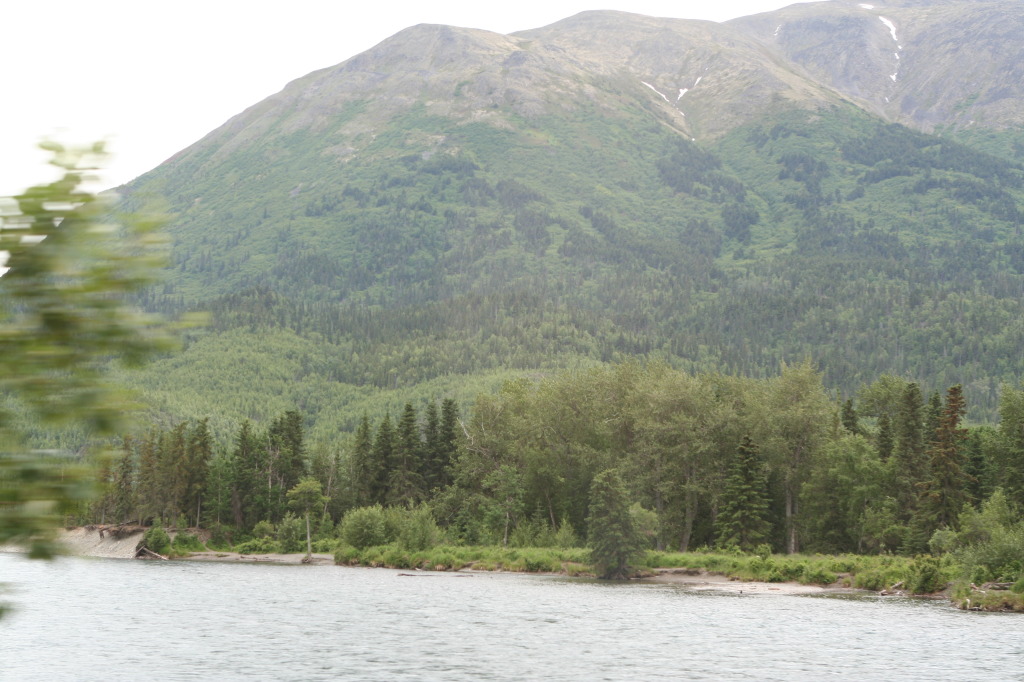 2011/07(July)/Alaska/2_Soldotna_to_Aleyska_Winner/1024x768_2011-07-14-Kenai-Princess-Lodge-08.JPG