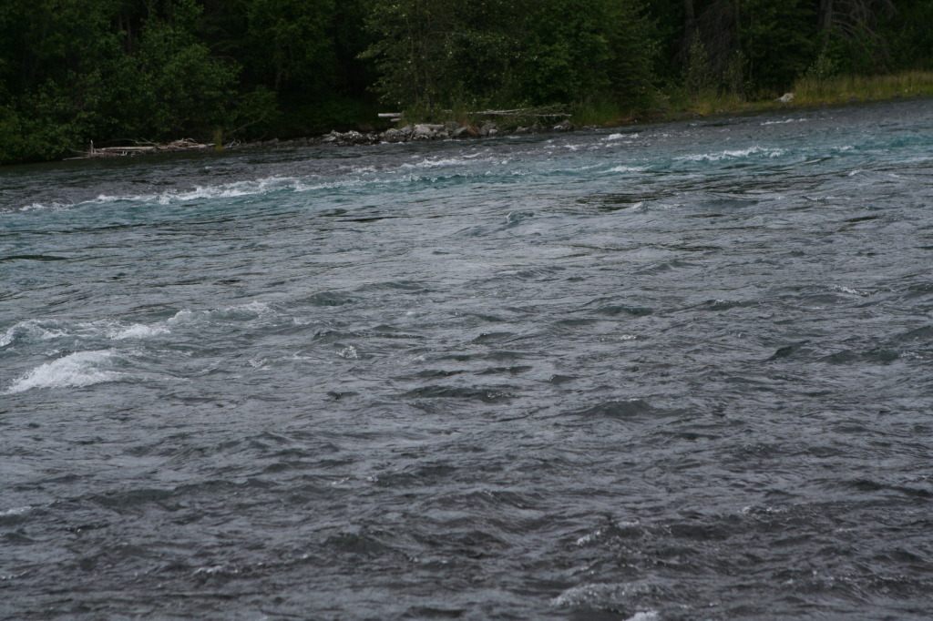 2011/07(July)/Alaska/2_Soldotna_to_Aleyska_Winner/1024x768_2011-07-14-Kenai-Princess-Lodge-30.JPG
