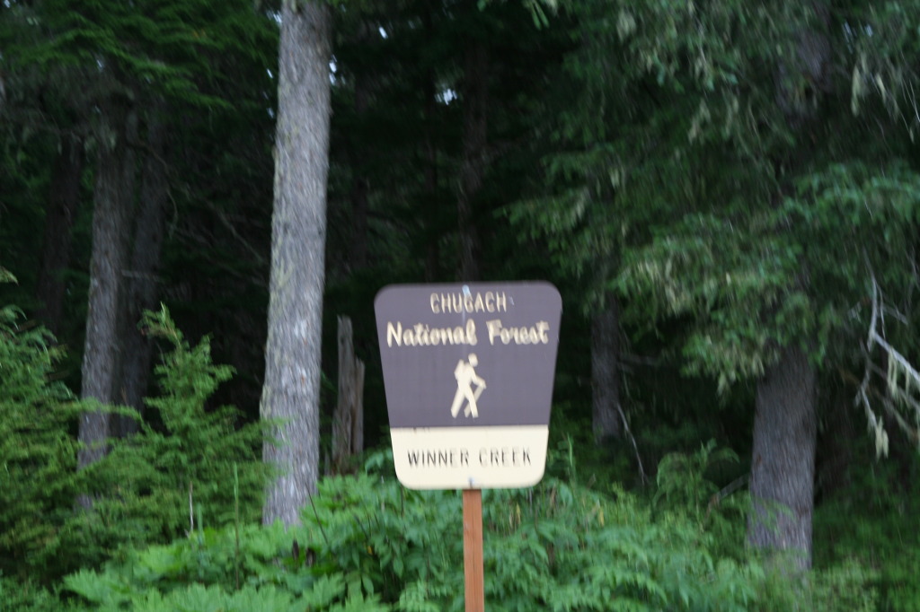 2011/07(July)/Alaska/2_Soldotna_to_Aleyska_Winner/1024x768_2011-07-14-Winner-Creek-086.JPG