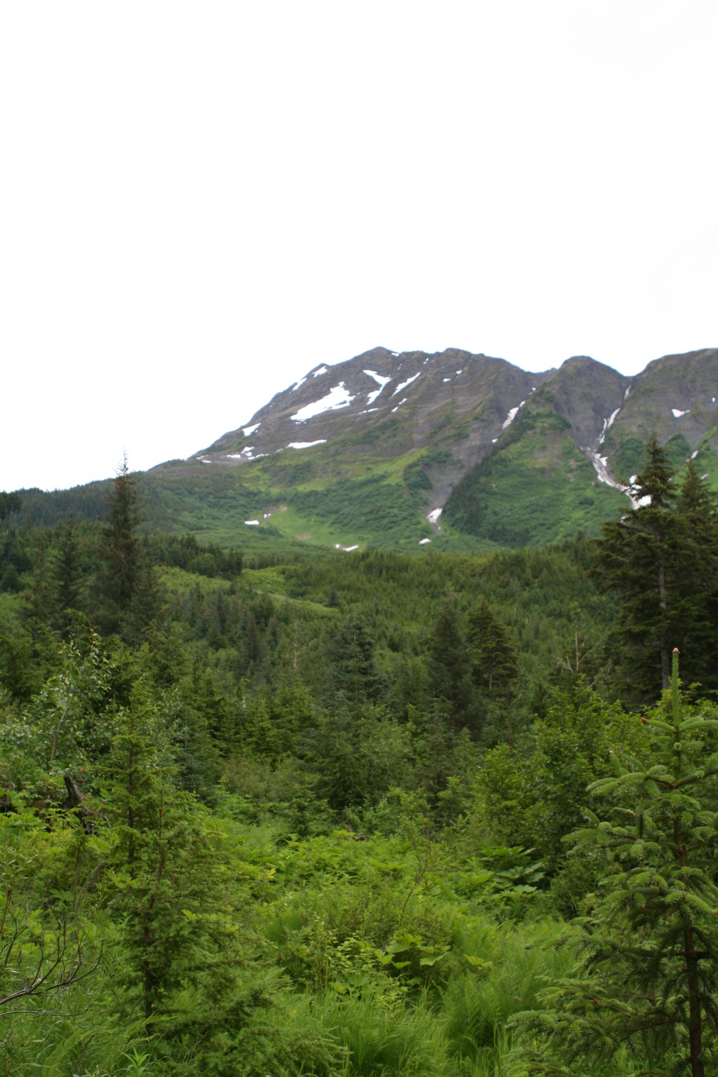 2011/07(July)/Alaska/2_Soldotna_to_Aleyska_Winner/1024x768_2011-07-14-Winner-Creek-093.JPG