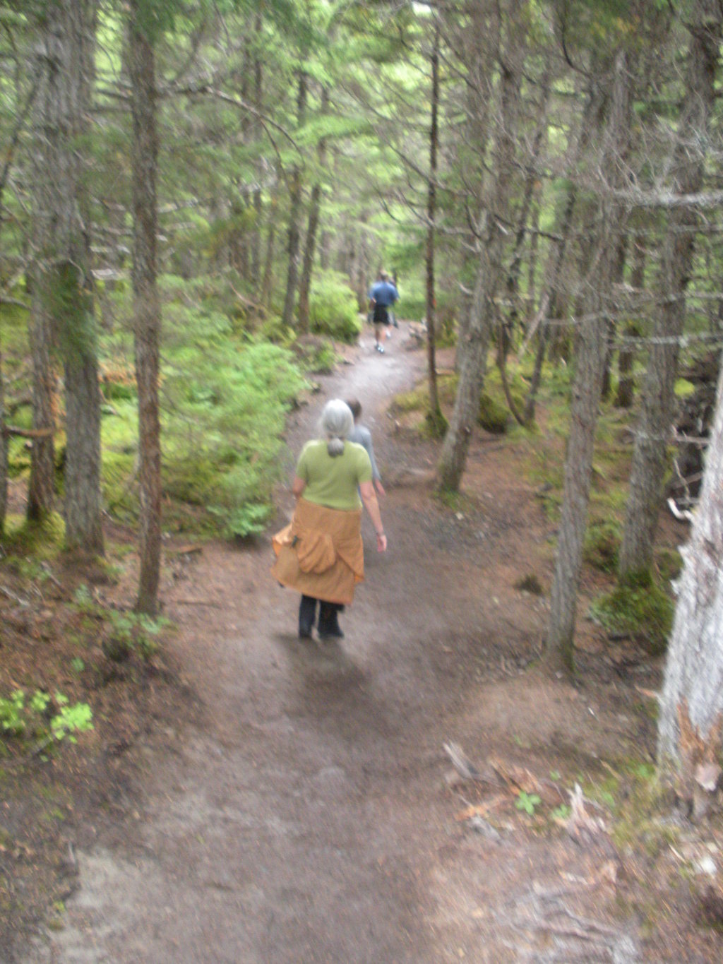 2011/07(July)/Alaska/2_Soldotna_to_Aleyska_Winner/1024x768_2011-07-14-Winner-Creek-100.JPG