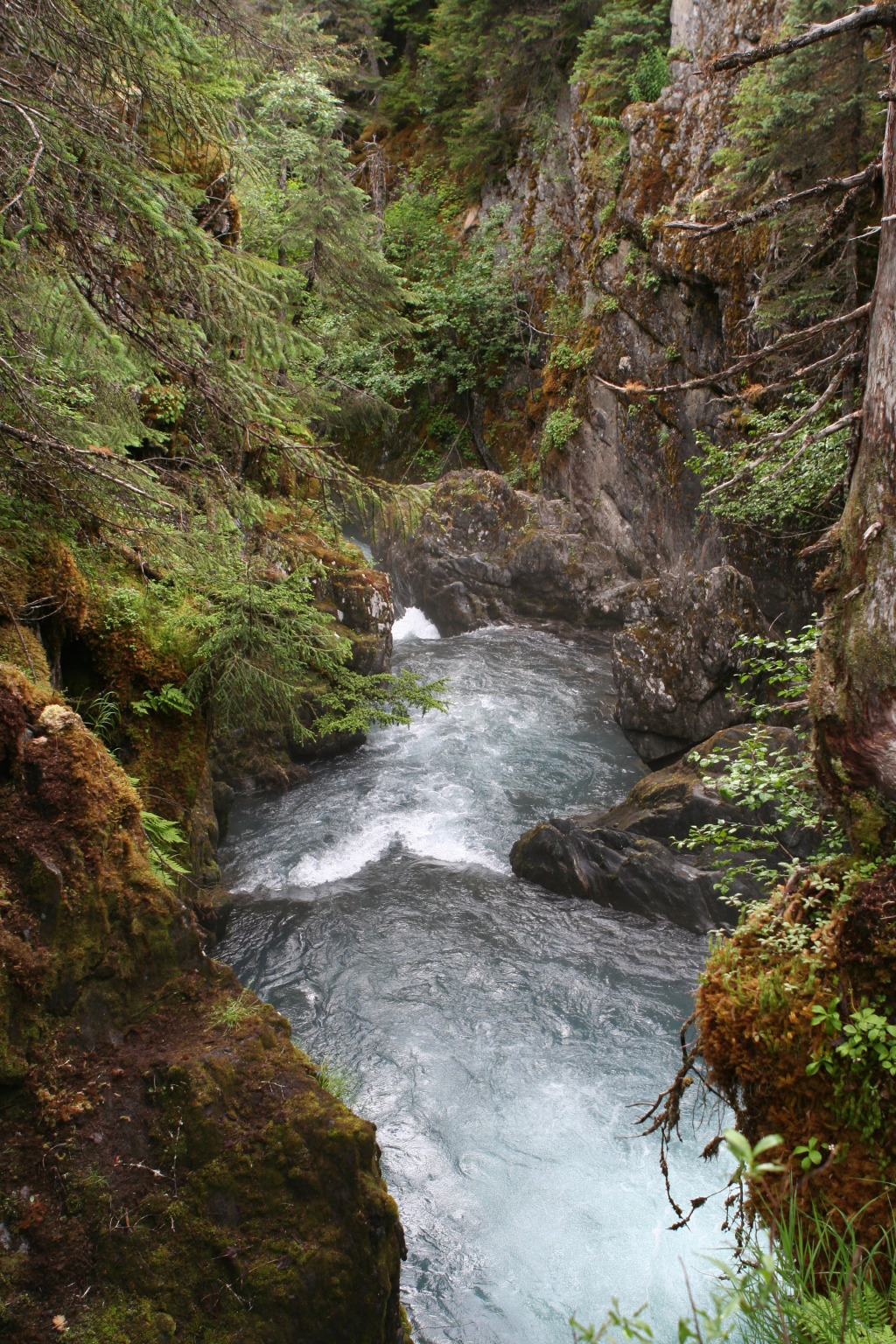 2011/07(July)/Alaska/2_Soldotna_to_Aleyska_Winner/1024x768_2011-07-14-Winner-Creek-104.JPG
