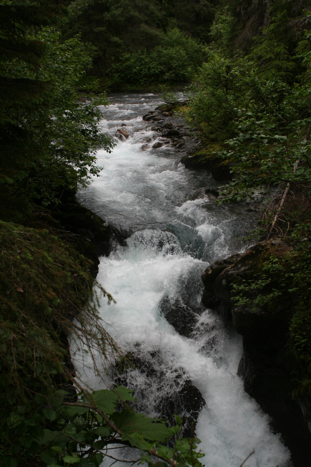 2011/07(July)/Alaska/2_Soldotna_to_Aleyska_Winner/1024x768_2011-07-14-Winner-Creek-105.JPG