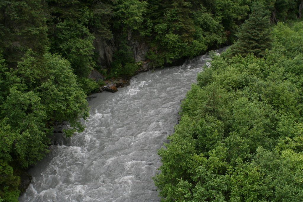 2011/07(July)/Alaska/2_Soldotna_to_Aleyska_Winner/1024x768_2011-07-14-Winner-Creek-117.JPG