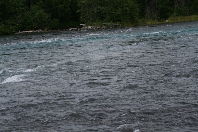 2011/07(July)/Alaska/2_Soldotna_to_Aleyska_Winner/640x480_2011-07-14-Kenai-Princess-Lodge-30.JPG