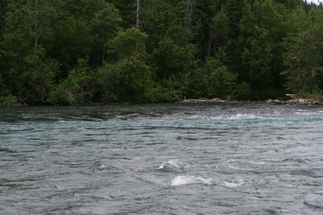 2011-07-14-Kenai-Princess-Lodge-44.JPG