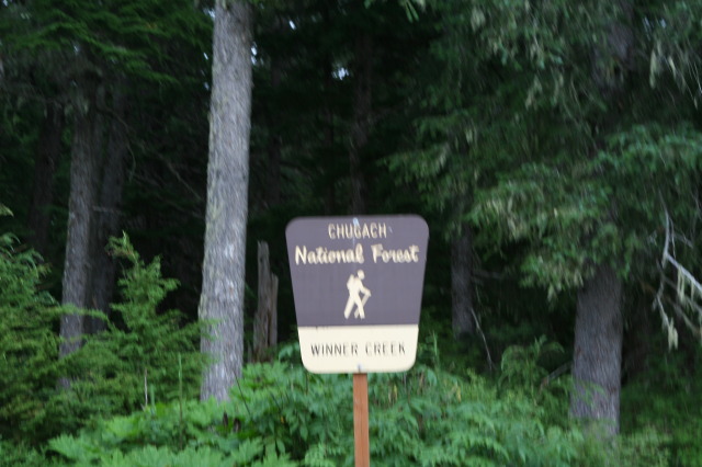 2011-07-14-Winner-Creek-086.JPG