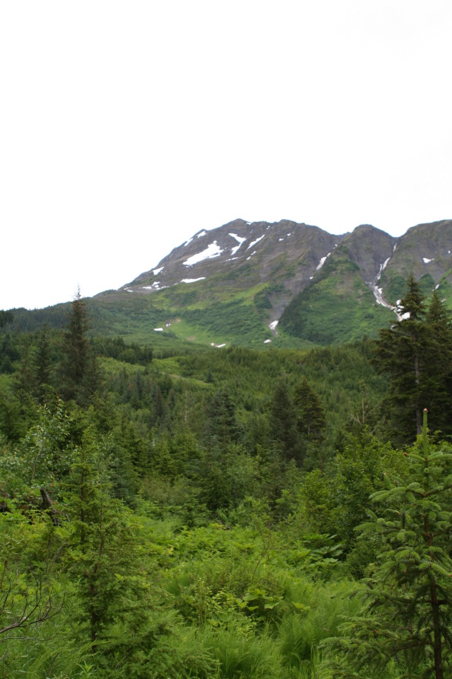 2011/07(July)/Alaska/2_Soldotna_to_Aleyska_Winner/640x480_2011-07-14-Winner-Creek-093.JPG