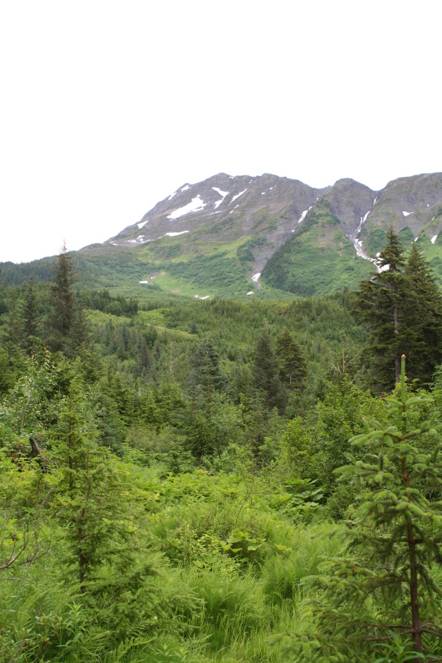2011/07(July)/Alaska/2_Soldotna_to_Aleyska_Winner/640x480_2011-07-14-Winner-Creek-094.JPG