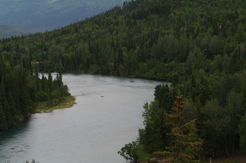2011/07(July)/Alaska/2_Soldotna_to_Aleyska_Winner/800x600_2011-07-14-Kenai-Princess-Lodge-19.JPG