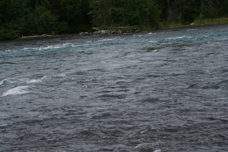 2011-07-14-Kenai-Princess-Lodge-30.JPG