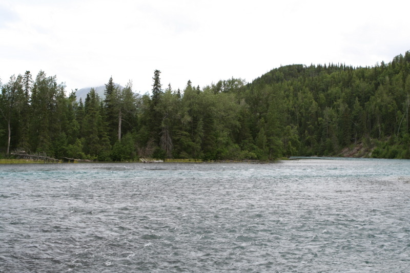 2011/07(July)/Alaska/2_Soldotna_to_Aleyska_Winner/800x600_2011-07-14-Kenai-Princess-Lodge-42.JPG