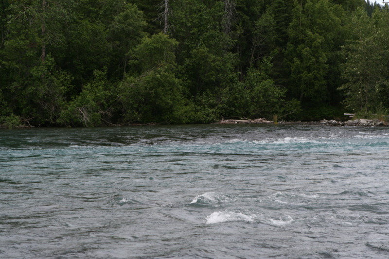 2011/07(July)/Alaska/2_Soldotna_to_Aleyska_Winner/800x600_2011-07-14-Kenai-Princess-Lodge-44.JPG