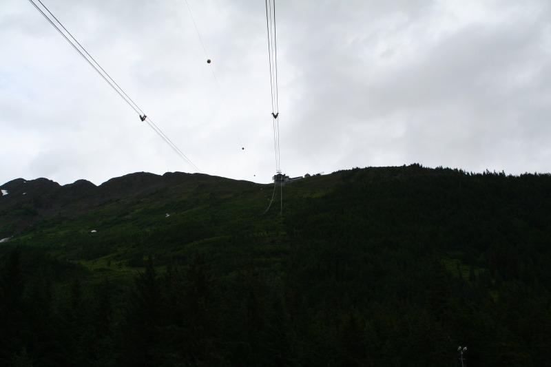 2011/07(July)/Alaska/2_Soldotna_to_Aleyska_Winner/800x600_2011-07-14-Winner-Creek-084.JPG