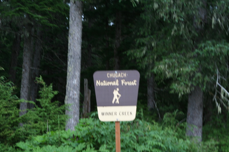 2011/07(July)/Alaska/2_Soldotna_to_Aleyska_Winner/800x600_2011-07-14-Winner-Creek-086.JPG