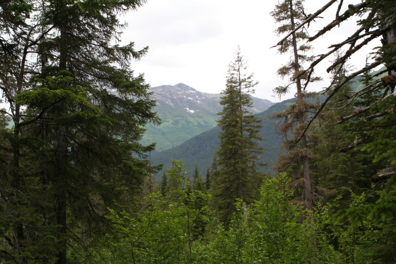 2011-07-14-Winner-Creek-091.JPG