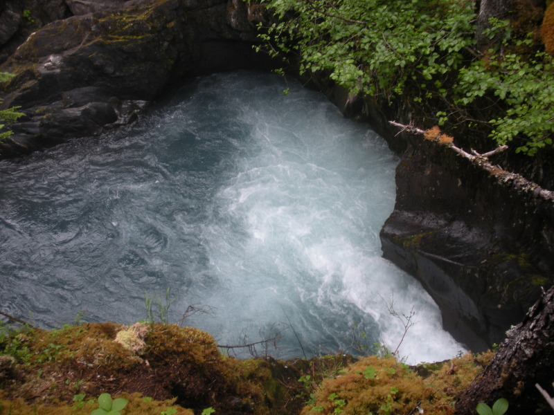 2011/07(July)/Alaska/2_Soldotna_to_Aleyska_Winner/800x600_2011-07-14-Winner-Creek-099.JPG