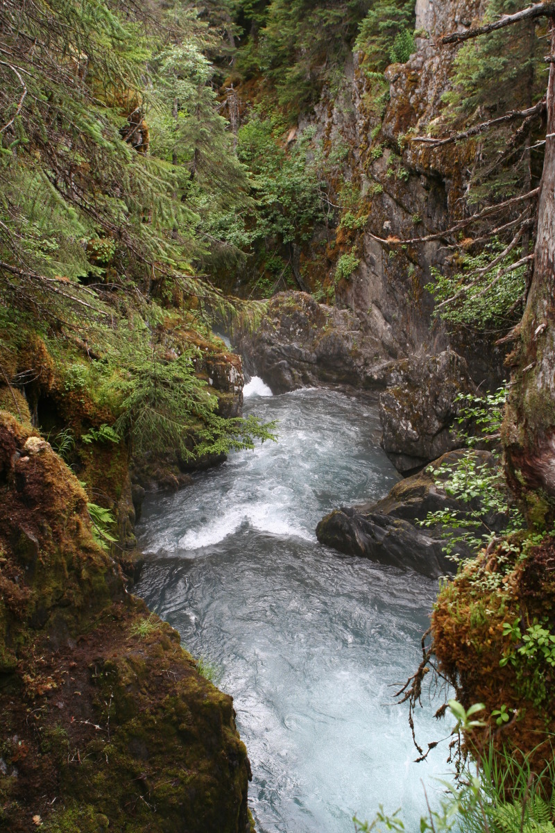 2011/07(July)/Alaska/2_Soldotna_to_Aleyska_Winner/800x600_2011-07-14-Winner-Creek-104.JPG