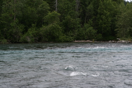 2011-07-14-Kenai-Princess-Lodge-44.JPG