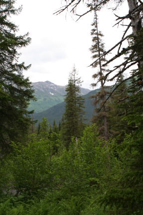 2011-07-14-Winner-Creek-092.JPG