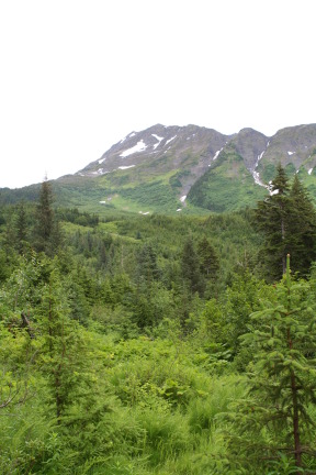 2011-07-14-Winner-Creek-094.JPG