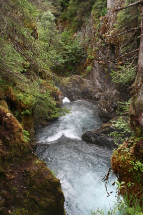 2011-07-14-Winner-Creek-104.JPG
