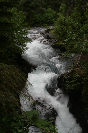 2011-07-14-Winner-Creek-105.JPG