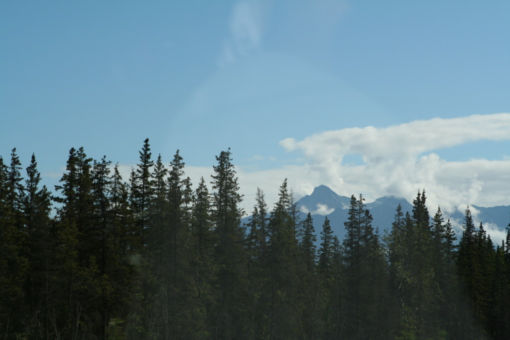 2011/07(July)/Alaska/3_to-Talkeetna/1024x768_2011-07-15-Alaska-02.JPG