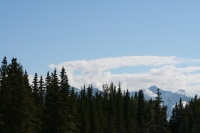 2011/07(July)/Alaska/3_to-Talkeetna/2011-07-15-Alaska-01.JPG