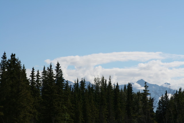2011/07(July)/Alaska/3_to-Talkeetna/2011-07-15-Alaska-01.JPG