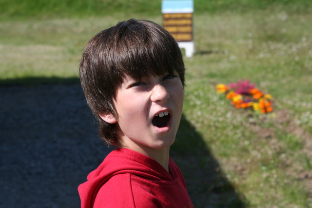 2011/07(July)/Alaska/3_to-Talkeetna/640x480_2011-07-15-Alaska-14-Dax.JPG