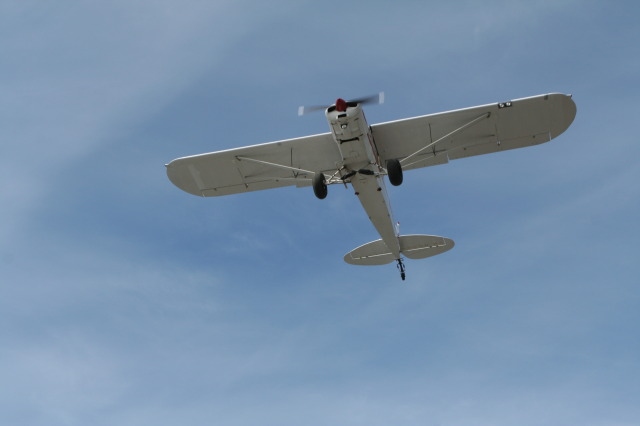 2011/07(July)/Alaska/3_to-Talkeetna/640x480_2011-07-15-Talkeetna-26.JPG