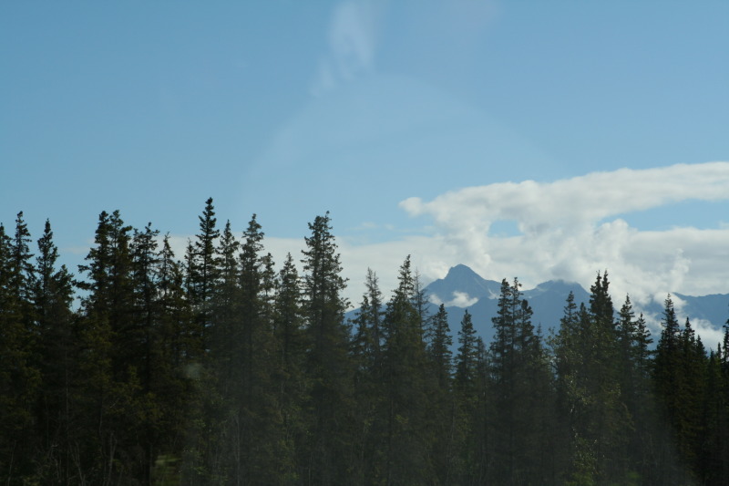 2011/07(July)/Alaska/3_to-Talkeetna/800x600_2011-07-15-Alaska-02.JPG