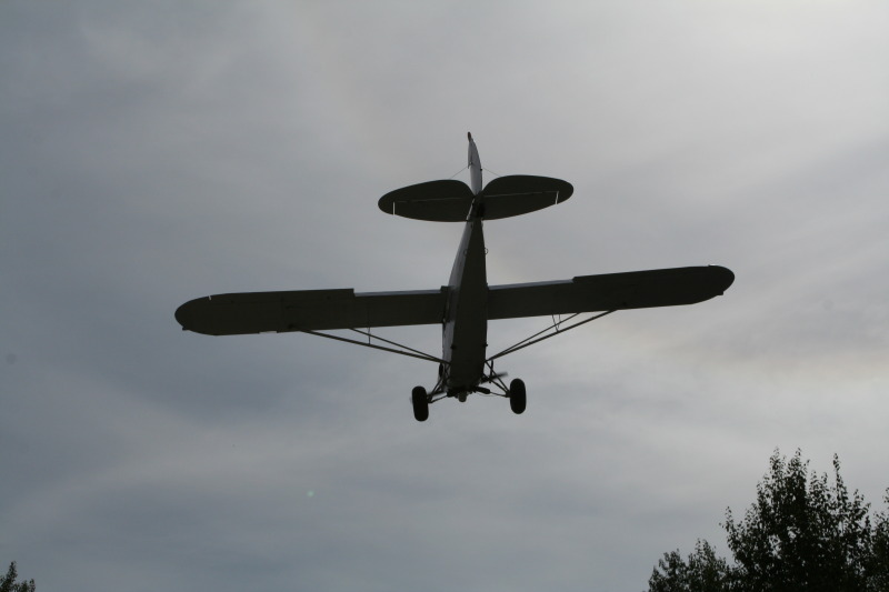2011/07(July)/Alaska/3_to-Talkeetna/800x600_2011-07-15-Talkeetna-27.JPG