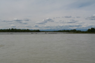 2011-07-15-Talkeetna-31.JPG