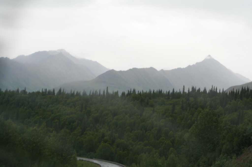 2011/07(July)/Alaska/4_Denali/1024x768_2011-07-15-Denali-026.JPG