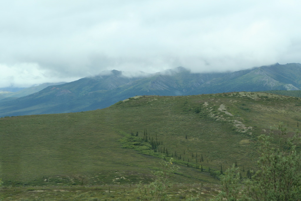 2011/07(July)/Alaska/4_Denali/1024x768_2011-07-15-Denali-039.JPG