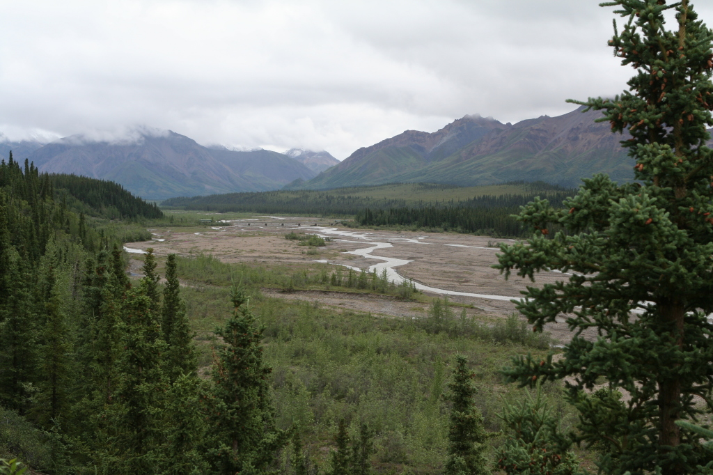 2011/07(July)/Alaska/4_Denali/1024x768_2011-07-15-Denali-044.JPG