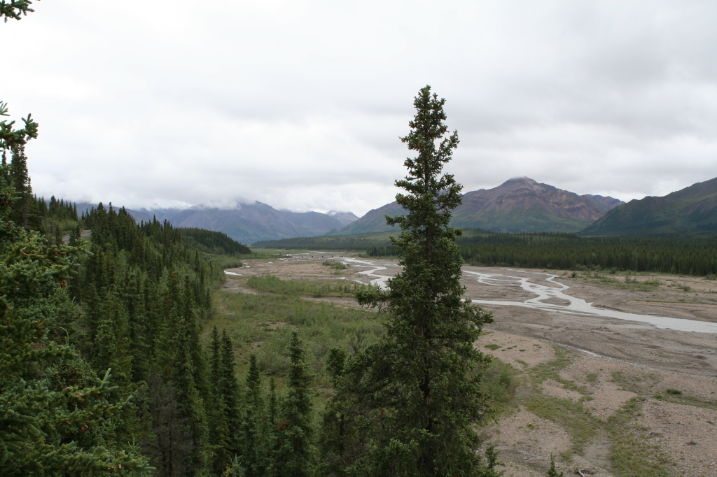 2011/07(July)/Alaska/4_Denali/1024x768_2011-07-15-Denali-045.JPG