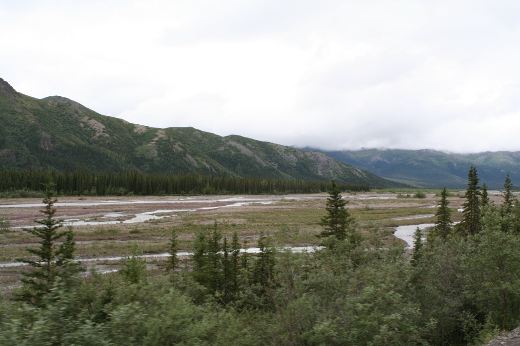 2011/07(July)/Alaska/4_Denali/1024x768_2011-07-15-Denali-053.JPG