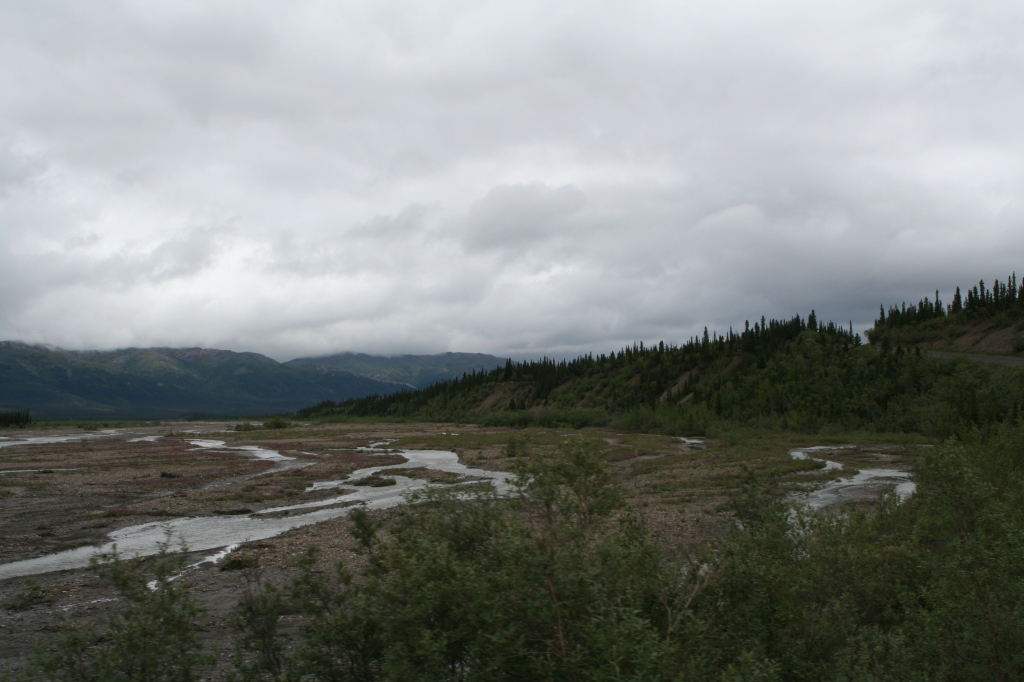 2011/07(July)/Alaska/4_Denali/1024x768_2011-07-15-Denali-055.JPG