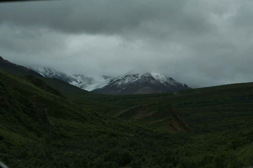 2011/07(July)/Alaska/4_Denali/1024x768_2011-07-15-Denali-060.JPG