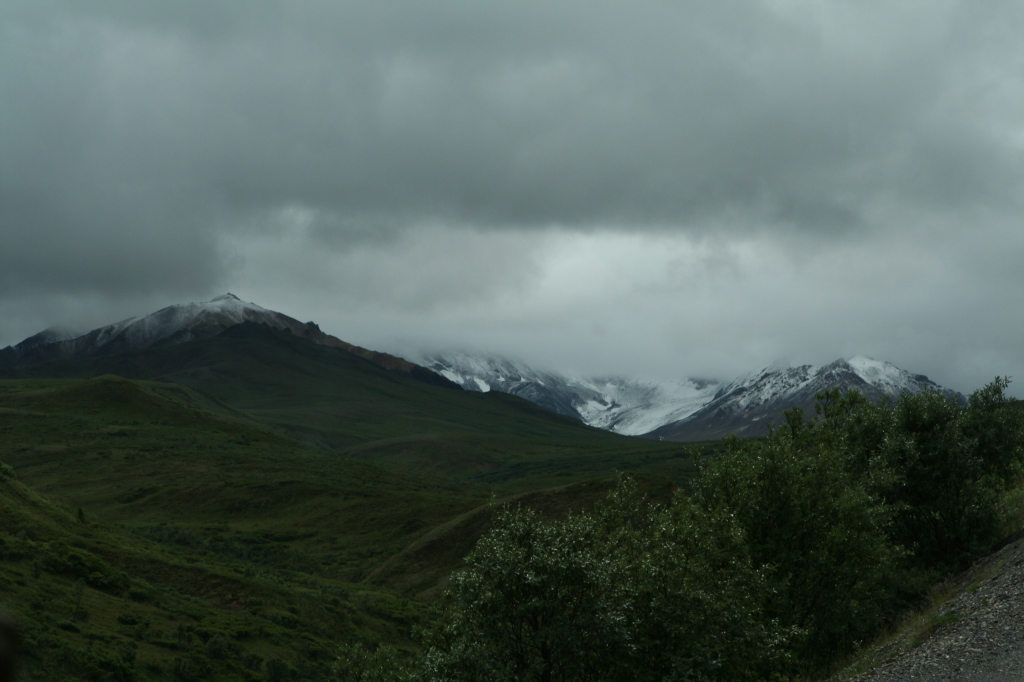 2011/07(July)/Alaska/4_Denali/1024x768_2011-07-15-Denali-061.JPG