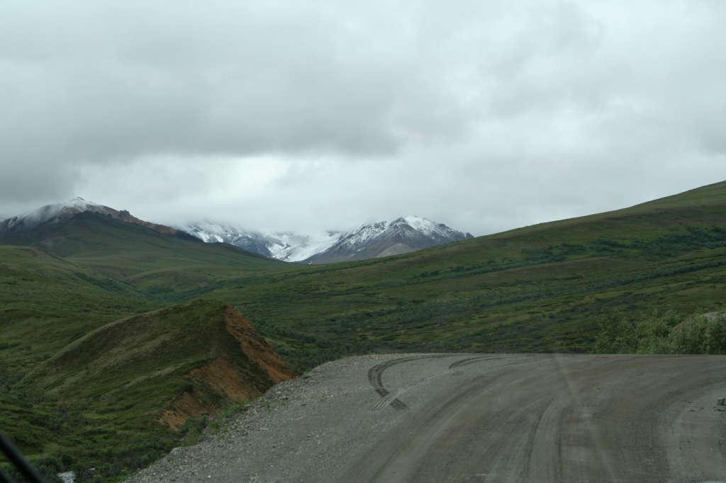 2011/07(July)/Alaska/4_Denali/1024x768_2011-07-15-Denali-062.JPG