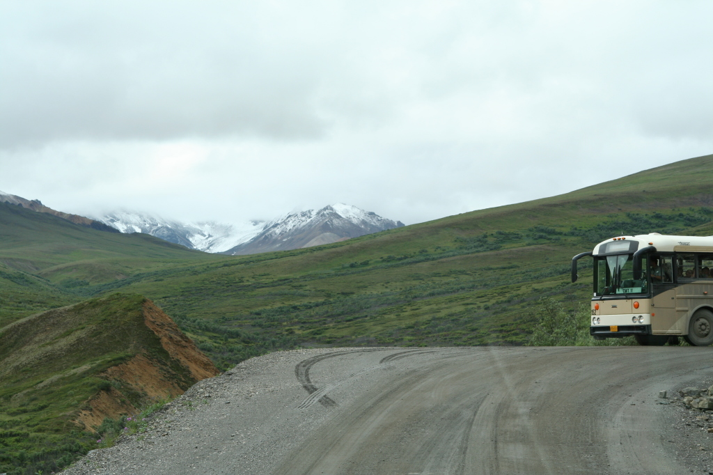 2011/07(July)/Alaska/4_Denali/1024x768_2011-07-15-Denali-063.JPG