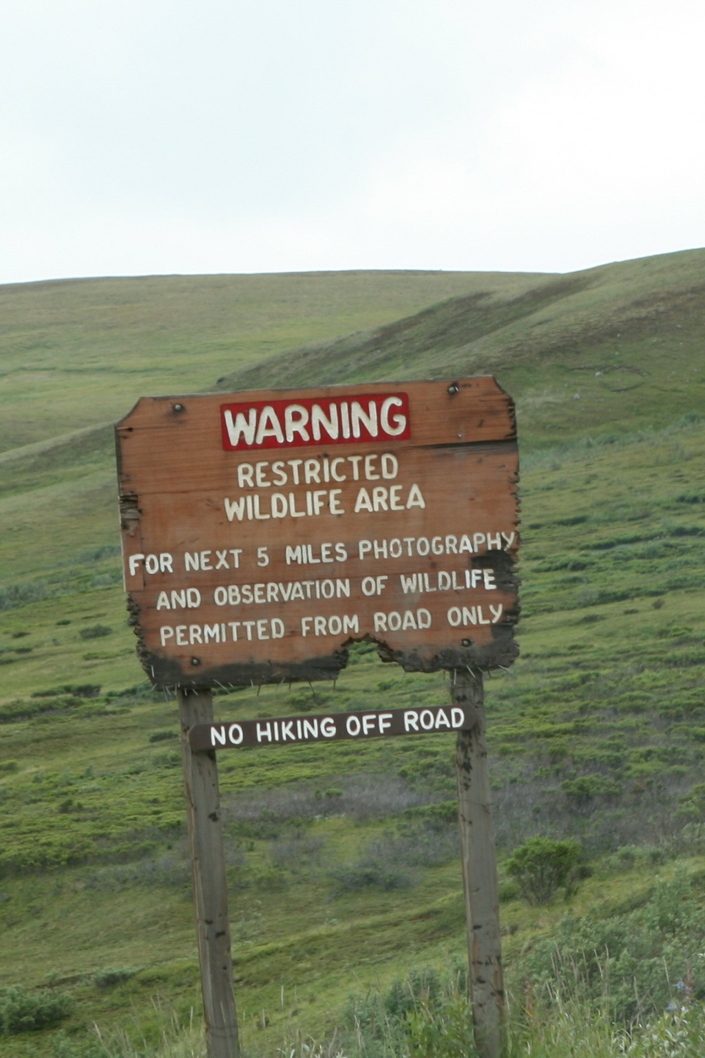 2011/07(July)/Alaska/4_Denali/1024x768_2011-07-15-Denali-064.JPG
